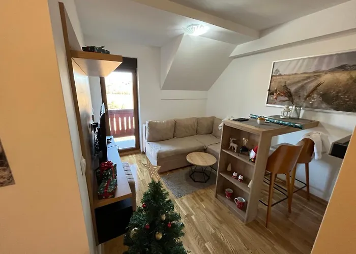 Jutarnja Zvezda - And Wellness - Xbox S * Zlatibor