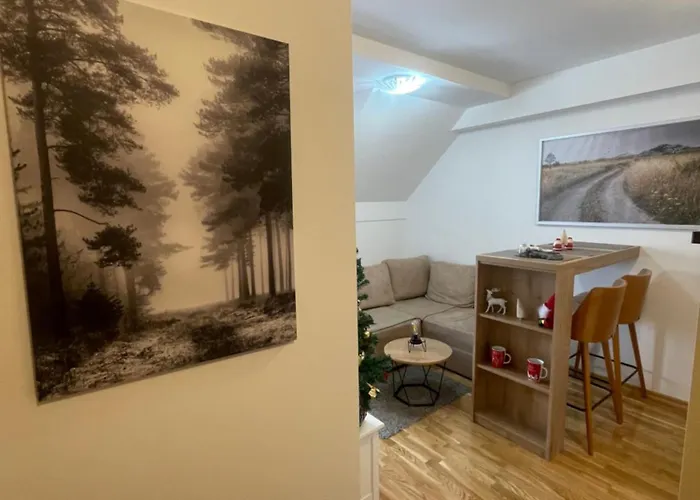 Jutarnja Zvezda - And Wellness - Xbox S Zlatibor