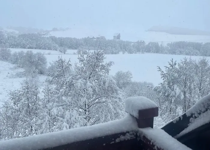 Jutarnja Zvezda - And Wellness - Xbox S * 즐라티보